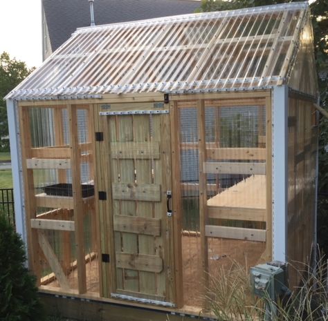 8 * 8 * 6 Greenhouse made mostly from 2*4 and Polycarbonate Panels. Greenhouse Polycarbonate, Citronella Plant, Diy Gazebo, Compost Soil, Outdoor Greenhouse, Stone Interior, Polycarbonate Panels, Greenhouse Ideas, Garden Plans