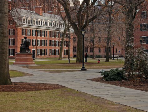 We then walked into the Old Campus, a complex of buildings clustered around a large courtyard. The building in the upper left corner is Connecticut Hall, the oldest (1752) building on campus, now home to the Philosophy department. [Seen on Explore, highest position, #125] Campus Aesthetic, Boarding School Aesthetic, College Aesthetic, Yale University, College Campus, University Campus, Boarding School, The Secret History, Private School