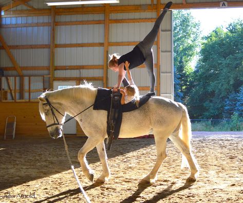 Cantering Horse, Vaulting Horse, Vaulting Horses, Equestrian Vaulting, Vaulting Equestrian, Horse Vaulting, Strong Back, Horse World, Equestrian Sports