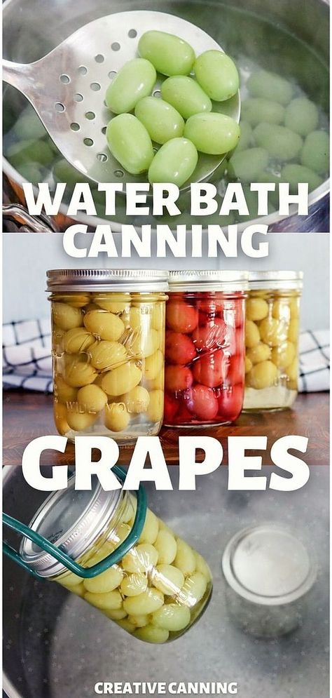 Master the art of Water Bath Canning Grapes with our guide on fruit preserves. This simple process for canning Concord grapes and green grapes is a fantastic way to preserve their flavor. Ideal for beginners, this guide will show you how to prepare grape juice with whole grapes, offering a naturally sweet addition to your food preservation efforts. Explore more preserving food recipes and home canning recipes at creativecanning.com. Canning Grapes, Green Grapes Recipes, Canning Fruit Recipes, Canning Water, Water Bath Canning Recipes, Concord Grapes, Grapes Fruit, Canning Peaches, Pressure Canning Recipes