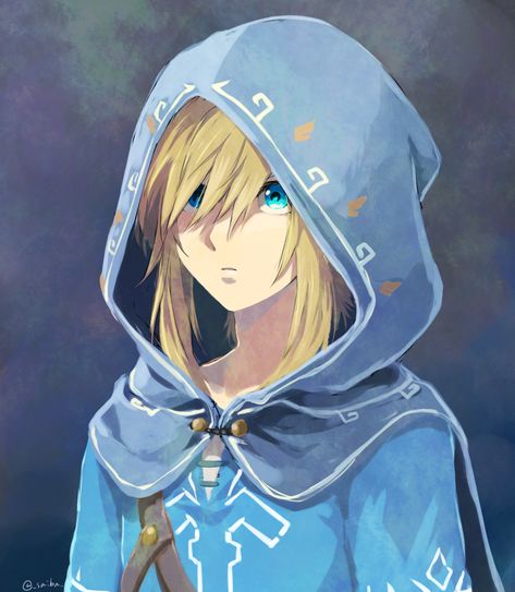 Breath Of The Wild, Legend Of Zelda, Anime Character, The Wild, Zelda, Memes, Twitter, Anime, Blue