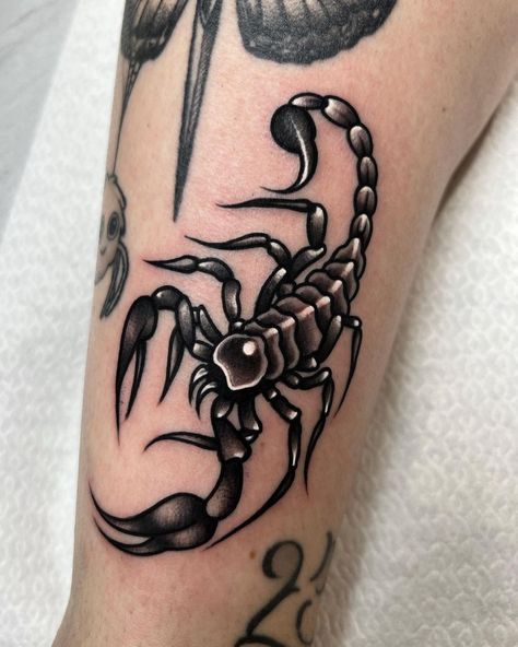 Neotraditional Tattoo, Scorpio Tattoo, Scorpion Tattoo, Sketch Tattoo Design, Greek Tattoos, Tatuaje A Color, Traditional Tattoo Art, Cute Tattoos For Women, Line Work Tattoo