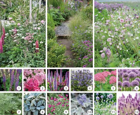 De mooiste kleurencombinaties voor de border - Tuincentrum Pelckmans Small Garden Borders, Cottage Garden Borders, Plant Combinations, Garden Borders, Colorful Garden, Colour Schemes, Small Garden, Garden Planning, Cottage Garden