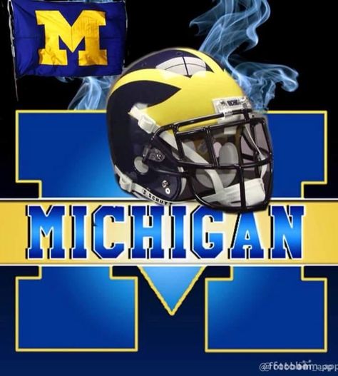 Michigan Wallpaper, Go Blue Michigan, University Of Michigan Logo, U Of M Football, Michigan Logo, Michigan Go Blue, Michigan Girl, Maize And Blue, Sports Pics