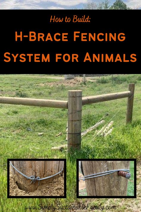 Cow Fence, Raising Cows, Beef Cows, Homesteading Diy Projects, Fencing Tools, Livestock Fence, Post And Rail Fence, Homestead Animals, Metal Fencing