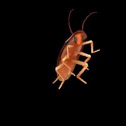 🪳 Dancing Cockroach, Dancing, Gif