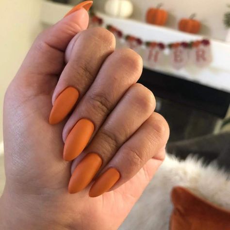 Best Nail Trends, Thanksgiving Nail Designs, Thanksgiving Nail Art, Thanksgiving Nail, Fun Nail Colors, Nagellack Trends, Fall Manicure, Nail Color Trends, Cute Nails For Fall