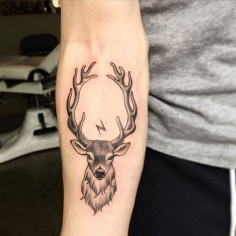 10+ Scottish Stag Tattoo Designs & Ideas | PetPress Deer Tattoo Meaning, Stag Tattoo Design, Buck Tattoo, Deer Tattoos, Antler Tattoos, Deer Head Tattoo, Deer Skull Tattoos, Elk Tattoo, Deer Tattoo Designs