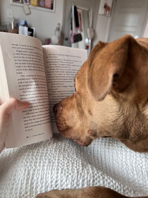 Dog Lovers Aesthetic, Dog And Book Aesthetic, Happy Dog Aesthetic, Guide Dog Aesthetic, Aesthetic Dog Pictures With Owner, Dog And Owner Aesthetic, Dogs And Books Aesthetic, Owning A Dog Aesthetic, College Dog Aesthetic