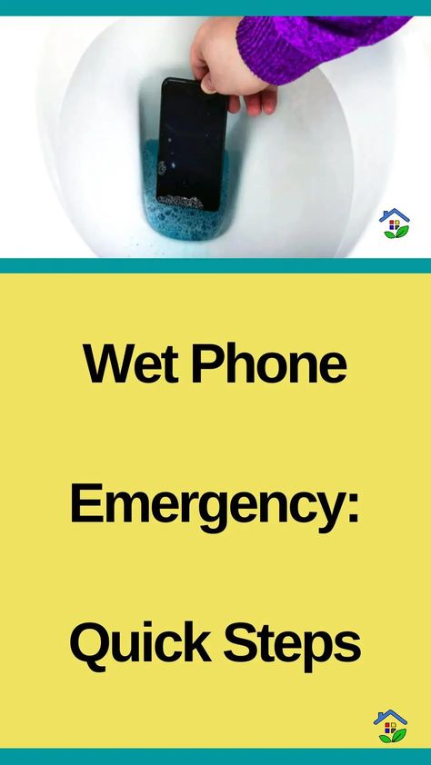 Act promptly to save your wet phone, learn these 3 simple moves to rescue your phone and restore your data. A phone can get wet through accidental spills, rain exposure, dropping it in water bodies, high humidity, water activities, splashes, sweat, condensation, or keeping it in wet bags/pockets. Preventive measures like using waterproof cases and […] Wet Bags, Soaking Wet, Water Bodies, Wet Bag, Water Proof Case, Water Activities, The Magicians, Water