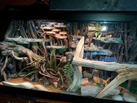 Bioactive Bearded Dragon Tank, Lizard Enclosure, Fake Rock Wall, Dragon Enclosure, Make Background, Vivarium Ideas, Zoo Enrichment, Bioactive Vivarium, Snake Cages