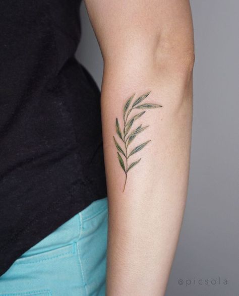 Cute and small olive branch for Samantha thank you! #olivetattoo #olivebranchtattoo #watercolortattoo Green Olive Branch Tattoo, Tiny Olive Tattoo, Green Leaf Tattoo, Delicate Olive Branch Tattoo, Olive Branch Tattoo Color, Olive Branch Postage Stamp Tattoo, Green Tattoo, Olive Tattoo, Olive Branch Tattoo