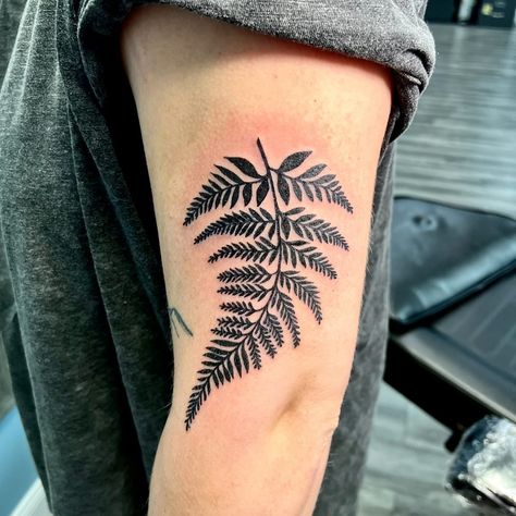 I ✨love✨ black work! 🖤🖤🖤 To book with me, please email olympusink@gmail.com with your ideas! #art #tattooapprenticeship #TKSG #fern #black #blackwork #tattoo #design #topcityink #topeka #KS #plant Blackwork Tattoo Design, Tattoos On Back, Fern Tattoo, Tattoo Apprenticeship, I Love Black, Black Work, Love Black, Blackwork Tattoo, Back Tattoo