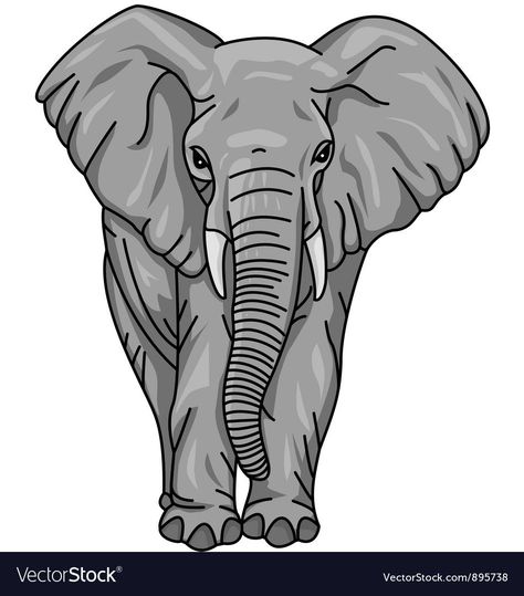 African Elephant Illustration, Africa Drawing, Elephant Logo Design, Animal Kingdom Colouring Book, Elephant Vector, Brain Illustration, Elephant Images, Deco Jungle, Elephant Illustration