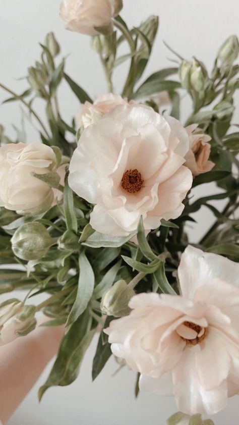 butterfly ranunculus, ranunculus, flowers, wedding flowers, wedding inspo, wedding inspiration, Neutral Colored Flowers, White Butterfly Ranunculus, Floral Trends 2024, Ranaculus Flowers, Butterfly Ranunculus, Floral Photos, White Ranunculus, Cut Flower Garden, Bride Magazine