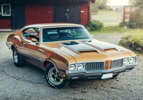 Mikael Persbrandt's Rare Oldsmobile 442 W30 Is For Sale 1970 Oldsmobile 442, Birthday Presents For Him, Oldsmobile 442, Pontiac Lemans, Oldsmobile Cutlass, Racing Stripes, Presents For Him, Pontiac Gto, Car Features