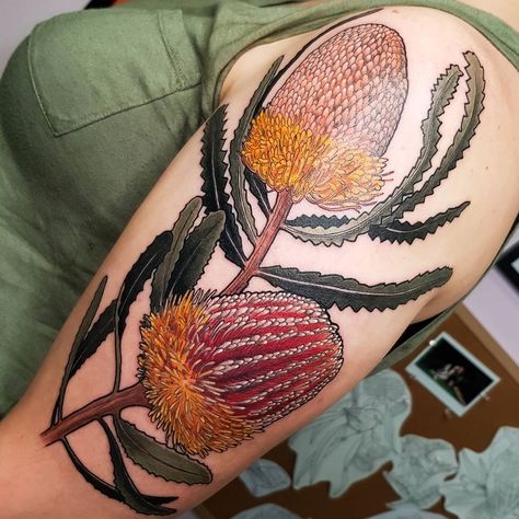 𝐃𝐑𝐄𝐀 𝐃𝐀𝐑𝐋𝐈𝐍𝐆 𝐓𝐀𝐓𝐓𝐎𝐎’s Instagram profile post: “Start to a floral sleeve with this beautiful pair. Acorn banksia and firewood banksia.  @withlovetattoo #tattoo #tattoos #ink #banksia…” Banksia Tattoo, Darling Tattoo, Banksia Flower, Australian Tattoo, Tattoo S, Dad Tattoo, Neotraditional Tattoo, Native Tattoos, Body Decoration