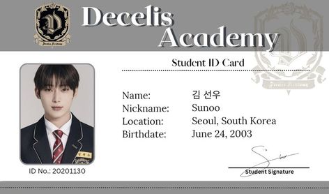 Enhypen Decelis Academy Id, Decelis Academy, Kim Sunoo Enhypen, Mystical Names, Raffle Tickets Template, Passport Services, 2560x1440 Wallpaper, School Id, Id Card Template