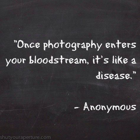 Photography Quotes Passion, Quotes For Photographers, Photography Challenge Beginners, Photography Inspiration Quotes, Quotes Passion, Photographer Quotes, Nature Photography Quotes, Inspirational Photography, Top Photography