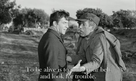 To be alive is to undo your belt and look for trouble! - Zorba the Greek Irene Papas, Nikos Kazantzakis, Alan Bates, Zorba The Greek, Jungian Psychology, Psychology Studies, Anthony Quinn, Gangsta Rap, The Buddha