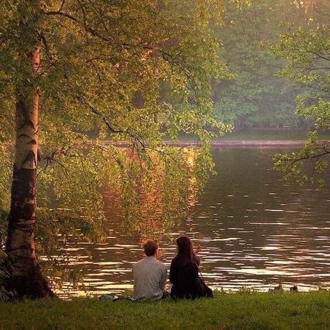 Bridge, Trees, Water