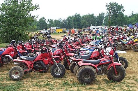 the one in the foreground on the right looks like my little honda 90s Honda Big Red 3 Wheeler, Honda Trike, Three Wheel Bicycle, Atv Motocross, Vintage Honda Motorcycles, 3 Wheeler, Yamaha Atv, Lawn Mower Tractor, Honda Ruckus