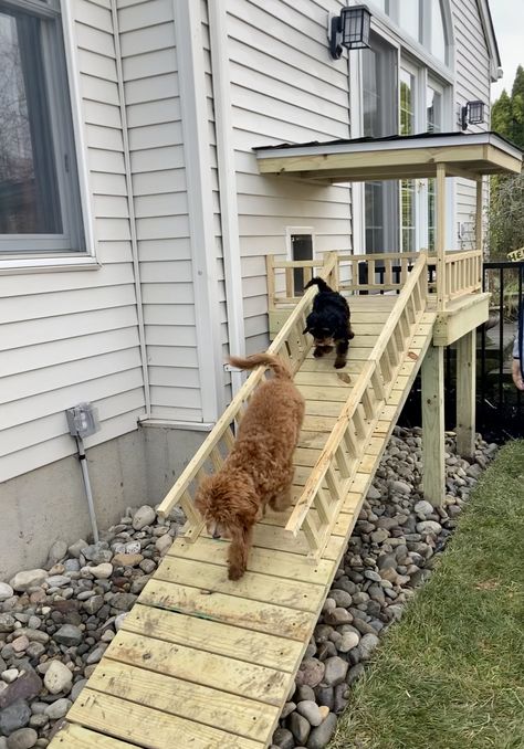 Dog Door To Dog Run, Woodsy House, Dog Ramp For Stairs, Dog Room Design, Outdoor Dog Area, Outdoor Dog Runs, Cat Ramp, Dog Room Decor, Outside Dogs