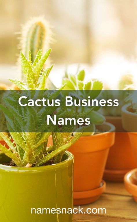 Plant Business Name Ideas, Plant Shop Names, Cute Business Names, Cactus Names, Cactus Farm, Western Names, Catchy Name, Shop Name Ideas, Cactus Craft