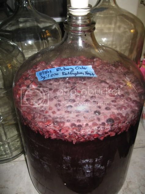 Blueberry Cider | Homebrew Talk - Beer, Wine, Mead, & Cider Brewing Discussion Forum Mead Wine, Mead Recipe, Canned Apples, Blueberry Juice, Cider Recipe, Home Brewing Beer, Hard Cider, Juice Concentrate, Frozen Blueberries