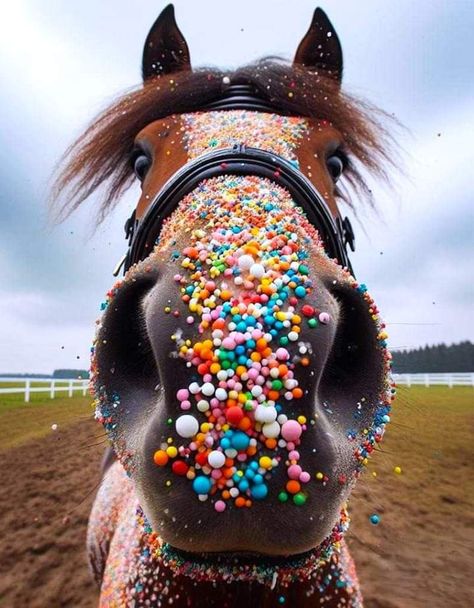 Happy Birthday Horse Lover, Horses Images, 50th Birthday Greetings, Birthday Horse, Happy Cake Day, Animal Noses, Happy Birthday Cat, Horse Cards, Birthday Clips