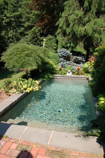 Pool Lounge Exterior, Tiny Pool, Backyard Pool Design, Dipping Pool, Dream Backyard Pool, Piscina Natural, Natural Swimming Pools, Backyard Pools, Backyard Pool Landscaping