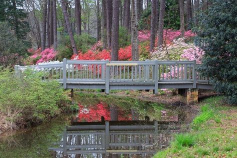 Callaway Gardens Georgia, Indoor Water Parks, Callaway Gardens, Atlanta Travel, Atlanta Botanical Garden, Chicago Botanic Garden, Garden Estate, Best Weekend Getaways, Sunken Garden