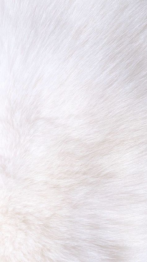 @ariananicolexo Fur Background, White Wallpaper For Iphone, White Background Wallpaper, Wallpaper Cantik, Iphone 6 Wallpaper, Wallpaper White, Trendy Wallpaper, White Iphone, Wallpaper For Your Phone