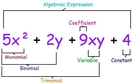 Maths Basics, Algebra Expressions, Algebra Vocabulary, Algebraic Expression, Algebra Help, Basic Algebra, High School Math Classroom, Teaching Math Strategies, Number Theory