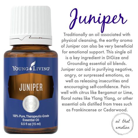 Grounding Essential Oil, Diffuser Blends Young Living, Juniper Oil, Juniper Essential Oil, Oils Essential, Essential Oils 101, Doterra Essential Oils Recipes, What Are Essential Oils, Essential Oil Remedy