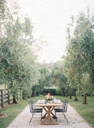 Greek Garden, Natural Organic Wedding, Outdoor Gathering Space, Zsazsa Bellagio, Couples Ideas, Courtyard Design, Olive Grove, Garden Of Earthly Delights, Rooftop Patio