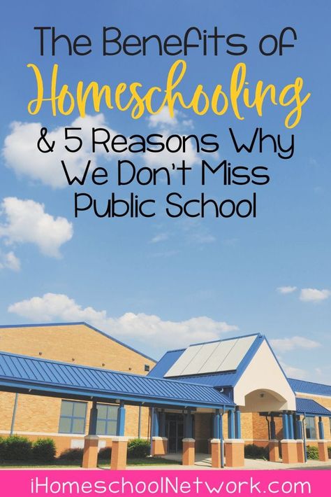 The Benefits of Homeschooling: 5 Reasons We Don't Miss Public School Homeschool Vs Public School, Benefits Of Homeschooling, Homeschool Gifts, Twice Exceptional, Types Of Education, School Mom, Learning Tips, Social Environment, Homeschool Lesson