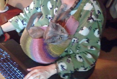 BeBe's Sling, knitted just in time for her 2nd birthday. Being knitted with wool (Noro), it's very warm! Crochet Cat Sling, Crochet Pet Sling Free Pattern, Cat Sling Diy, Crochet Cat Carrier, Cat Sling Pattern, Kitten Stuff, Crochet Coquette, Cat Sling, Pet Crafts