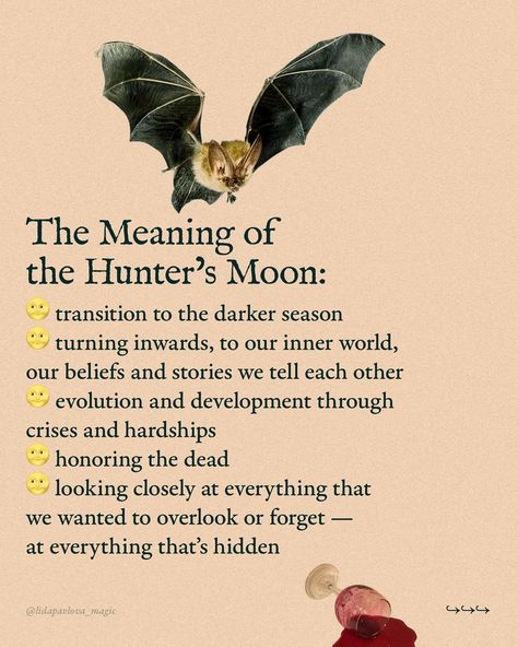 Astrologically, we are all having the same Full Moon all over the globe. But in terms of seasonal magic, it’s very different: here, in Serbia, I’m having spring, but some of my audience are experiencing autumn — if they live in the Southern Hemisphere. Seasonal magic is the art of feeling your land’s seasons, one Moon month after another — and doing your craft accordingly🌙 The names, such as Hunter’s Moon for this particular Full Moon, can be optional and change from one tradition to anoth... Hunters Moon Ritual, Hunters Full Moon, October Full Moon, Witchcraft Inspiration, Magic Lessons, Hunter Moon, Full Moon Meaning, Full Moon Magic, Witchcraft Stuff