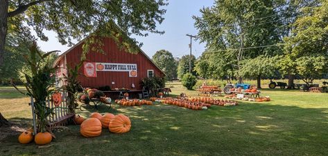 Ready for some fall family fun and decorations? Chittenden Family Farms has lots to offer the whole family, from a great selection of pumpkins and other yard display items to hayrides on the weekends, which are a blast for everyone! 🎃🍁🌲⁠
⁠
#chittendenfamilyfarms #fall #springlake #orange #halloween⁠
⁠
📷 : Chittenden Family Farms⁠
📍 : Chittenden Farms | Spring Lake, MI⁠
🔗 : See our website for more info and events! Fall Family Fun, Grand Haven, Spring Lake, Fall Family, Family Farm, Family Fun, Pumpkins, For Everyone, Yard