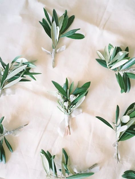 Plate Garnish, Groomsmen Ring, Green Textures, Olive Branch Wedding, Wedding Flowers Greenery, Olive Green Weddings, Olive Wedding, Olive Leaves, Groomsmen Boutonniere