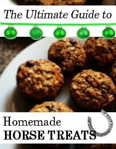 Ultimate Guide to Homemade Horse Treat Recipes | Savvy Horsewoman No Bake Horse Treats, Peppermint Horse Treats Recipes, Horse Treats Recipe Easy, Horse Treats Recipe, Horse Treats Recipe With Icing, Homemade Horse Treats, Homemade Pet Treats, Recipe Printable, Horse Nutrition