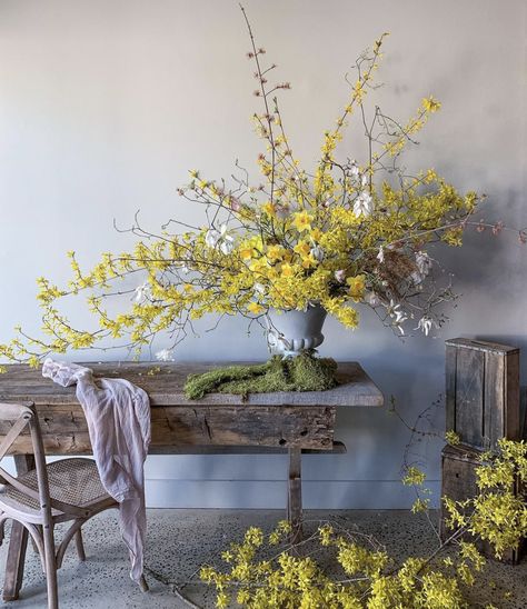 Spring Floral Arrangements, Flower Installation, Floral Studio, In Full Bloom, Arte Floral, Beautiful Blooms, Garden Styles, Cut Flowers, Daffodils