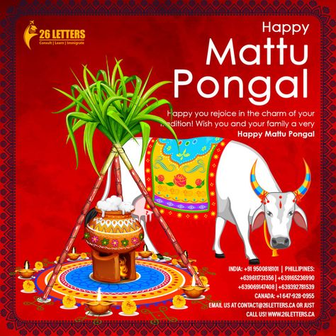 Happy Mattu Pongal - 26Letters Happy Mattu Pongal, Mattu Pongal, Pongal Wishes, Asia Continent, Travel Journey, Celebrity Photography, High Fashion Editorial, Ancient Temples, Stunning Photography