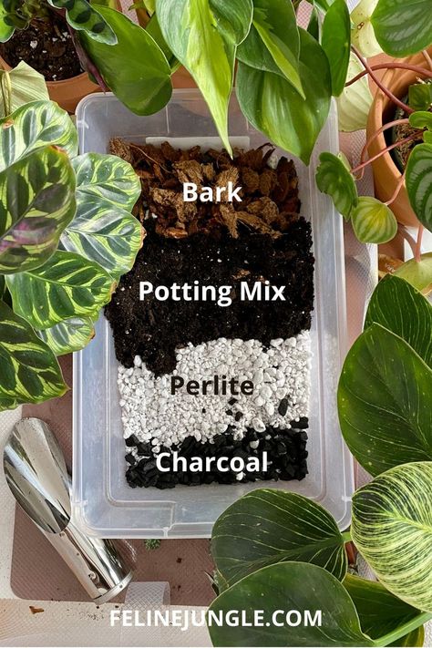 Mixing Soil For Houseplants, Plant Soil Indoor, Making Your Own Potting Soil, Best Soil Mixture For Indoor Plants, How To Make Your Own Potting Soil, Succulent Potting Mix Recipe, Potting Soil Mix Recipe For Indoor Plants, Best Potting Mix For Indoor Plants, How To Pot Indoor Plants