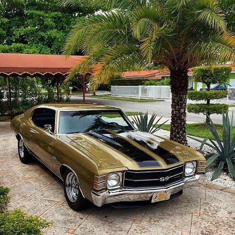 Afternoon Drive: American Muscle Cars (27 Photos) - Suburban Men American Muscle Cars Chevy, Afternoon Drive, Chevy Chevelle Ss, Chevy Ss, Chevy Muscle Cars, Chevy Chevelle, Chevelle Ss, Chevrolet Chevelle, Us Cars