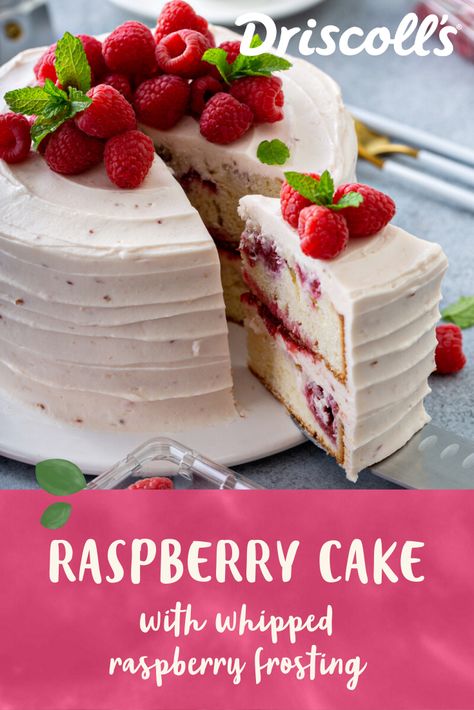 Picnic Cake Recipe, Small Raspberry Cake, Raspberry Cakes Birthday, Raspberry Christmas Cake, Fresh Cake Recipe, Vanilla And Raspberry Cake, Vanilla Raspberry Cake Recipe, Fresh Fruit Cake Recipe, White Raspberry Cake