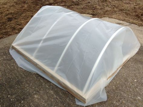 Diy Small Greenhouse, Diy Cold Frame, Cold Frame Plans, Cold Frame Diy, Salvaged Windows, Carrot Gardening, Hoop House, Cold Frames, List Of Vegetables