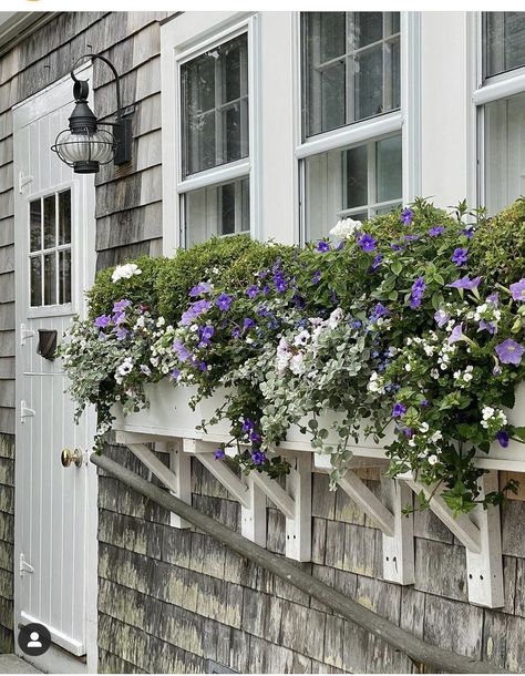 Nantucket Gardens, Wall Climbing Plants, Beach House Garden, New England Style Homes, New England Cottage, Fall Window Boxes, Nantucket Style Homes, Nantucket Cottage, House Shutters