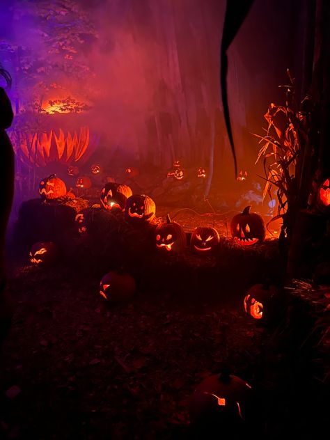 Halloween Theme Aesthetic, Spooky Party Aesthetic, Halloween Photography Aesthetic, Whimsigoth Halloween Aesthetic, Haunted House Attraction Aesthetic, Colorful Spooky Aesthetic, Halloween At Night, Fun Halloween Aesthetic, Hollowed Aesthetic